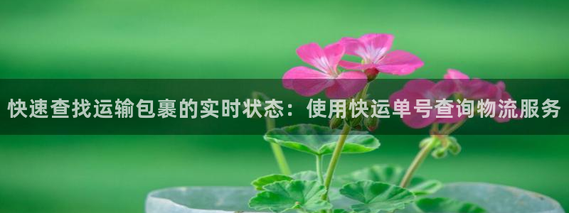 多多28正规吗：快速查找运输包裹的实