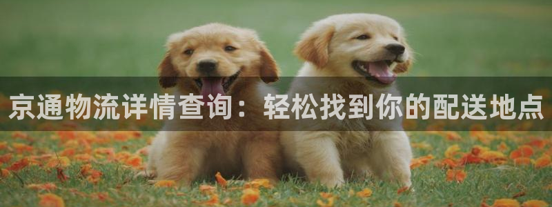多多28官网平台下载：京通物流详情查