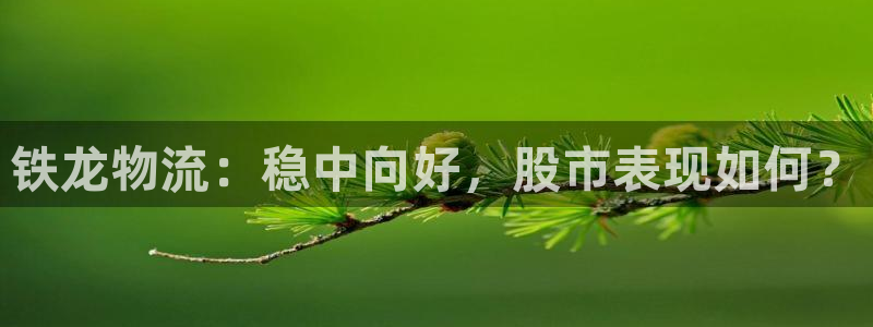 多多28推广链接是多少个：铁龙物流：