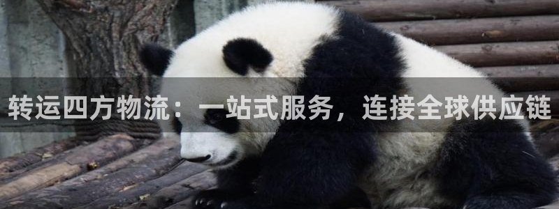 多多28预测网：转运四方物流：一站式