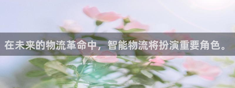 多多28v6能卖多少：在未来的物流革命中，智能物流将扮演重要