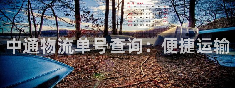 多多28官网入口pc29官网版下载：
