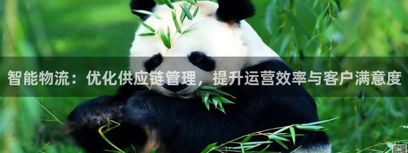 多多28推广链接是多少粉丝：智能物流