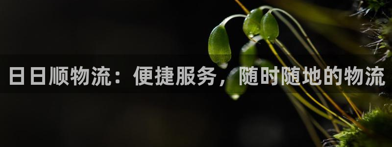 多多28哪个最赚钱：日日顺物流：便捷