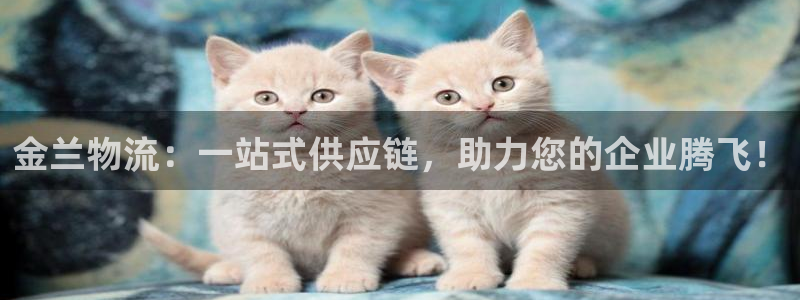 多多28网赌有什么风险：金兰物流：一