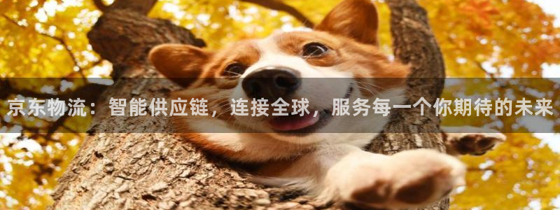 多多28是什么软件：京东物流：智能供