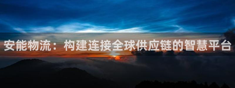 多多28预测：安能物流：构建连接全球