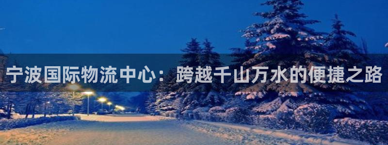 多多28游戏链接：宁波国际物流中心：