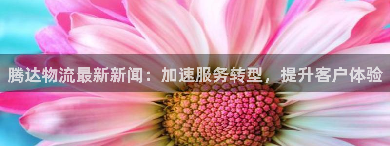 多多28加拿大走势