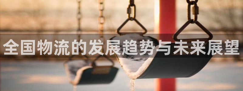 多多28官方版正版：全国物流的发展趋