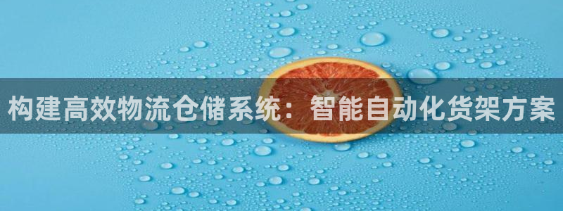 多多28充值：构建高效物流仓储系统：