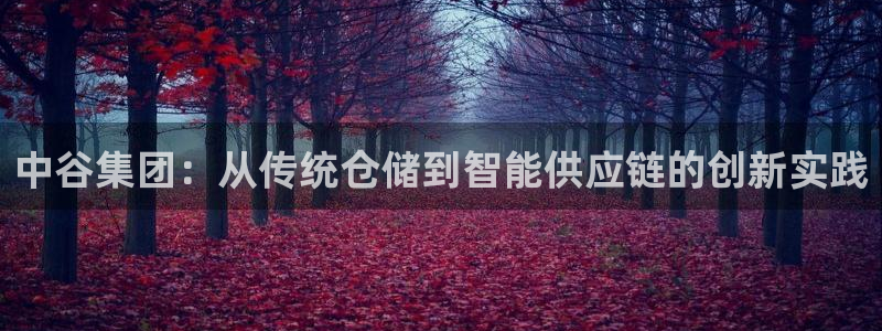 多多28网站怎么注册：中谷集团：从传