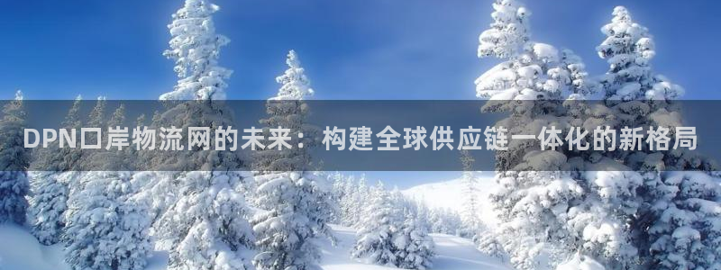 多多28注册链接入口：DPN口岸物流