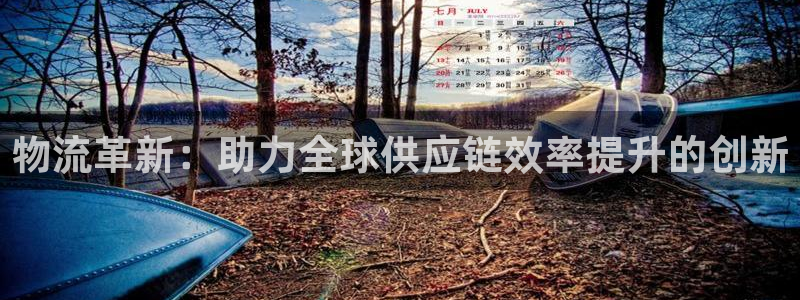 多多28麻将胡了在线试玩：物流革新：
