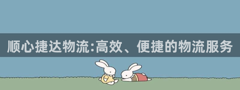 多多28大舞台：顺心捷达物流:高效、