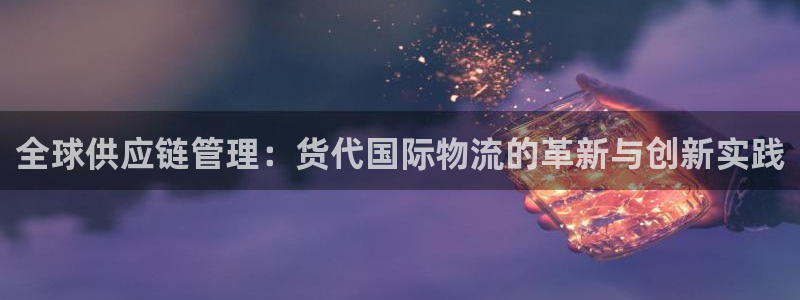 多多28能不能退：全球供应链管理：货