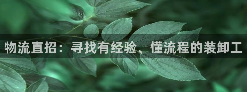 多多28注册问一问：物流直招：寻找有经验、懂流程的装卸工