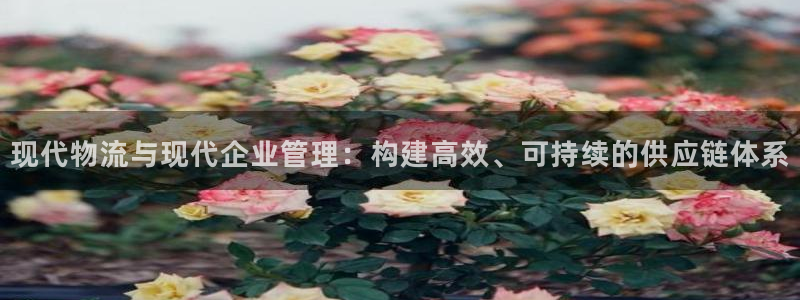 加拿大多多28是什么：现代物流与现代
