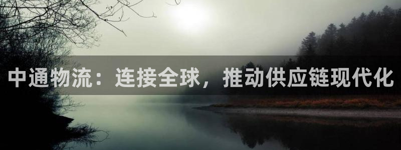 多多28注册问一问：中通物流：连接全