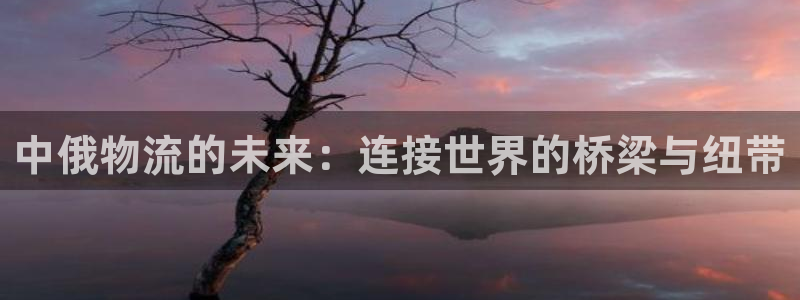 多多28免费：中俄物流的未来：连接世