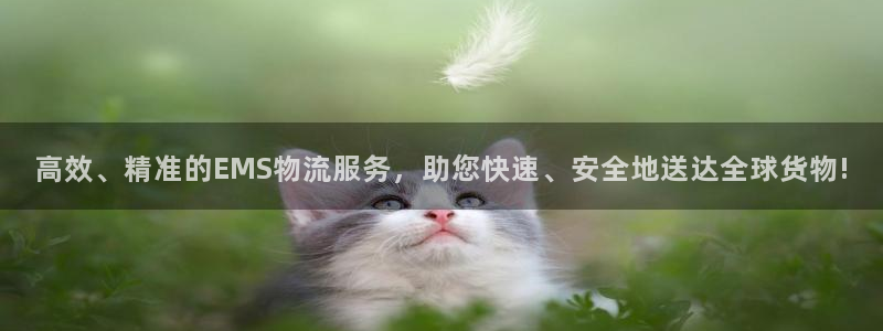 多多28是什么软件：高效、精准的EMS物流服务，助您快速、安