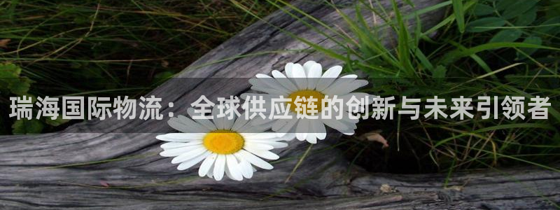 多多28取保：瑞海国际物流：全球供应