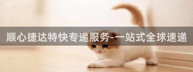 多多28官网入口pc28：顺心捷达特快专递服务-一站式全球速