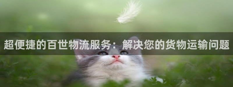 多多28cn：超便捷的百世物流服务：