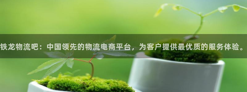 多多28可以退款吗