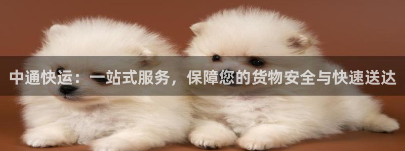 多多28相信品牌的力量：中通快运：一