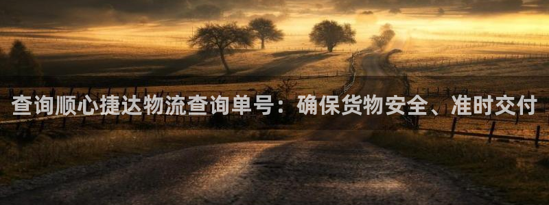 多多28比特28预测在线预测：查询顺