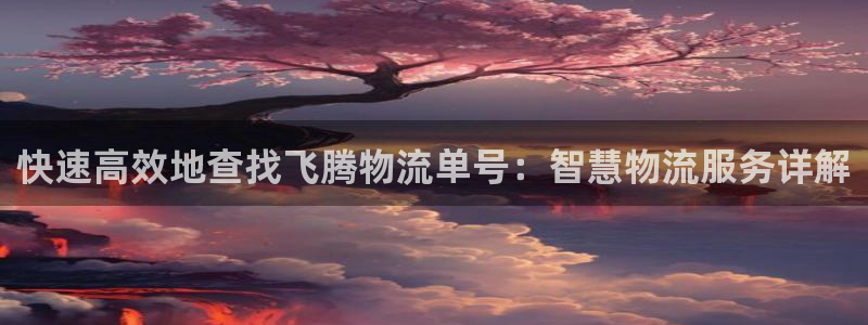 多多28初始资金密码在哪里改：快速高