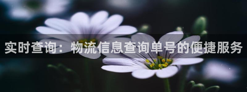 多多28pg如何退钱:实时查询:物流