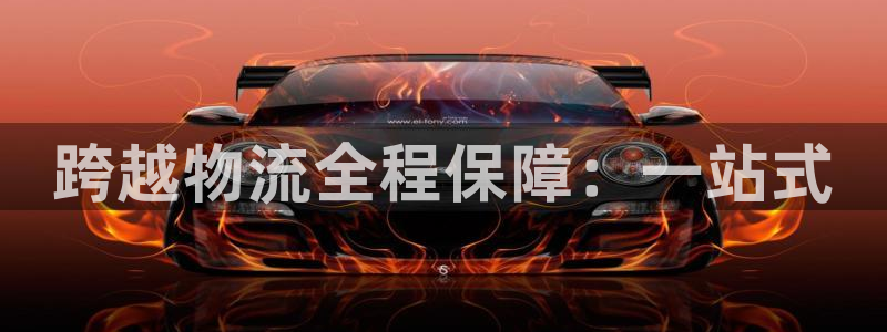 多多28官方官网版:跨越物流全程保障