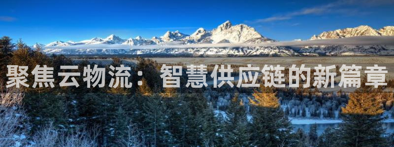 多多28官网入口pc预测：聚焦云物流：智慧供应链的新篇章