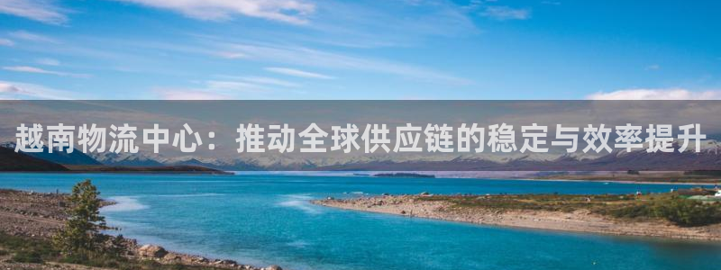 多多28黑吗:越南物流中心:推动全球