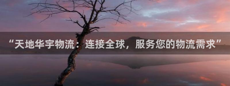 多多28加拿大在线预测：“天地华宇物