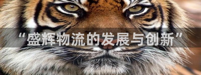 多多28官方平台：“盛辉物流的发展与